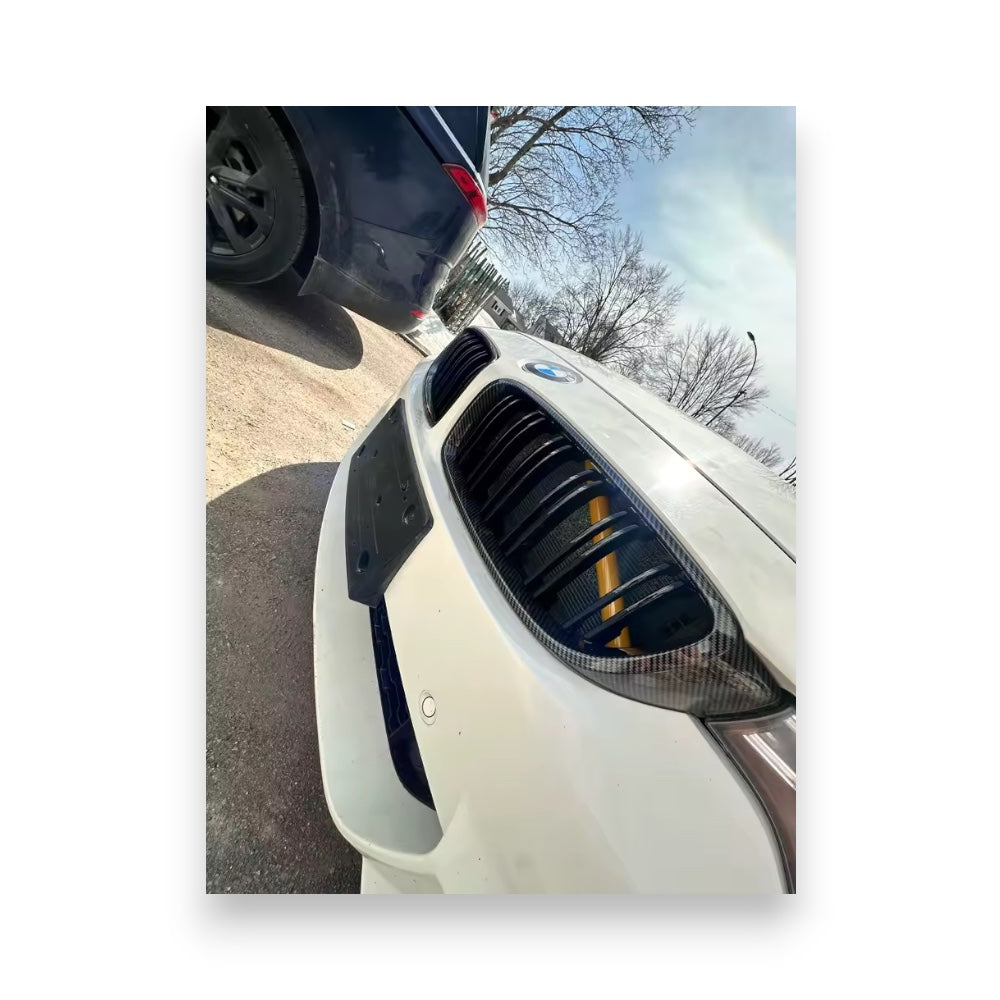 Set griglie BMW effetto carbonio
